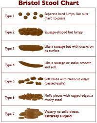 toddler stool scale bitss protocol