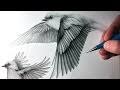 how to draw birds flying you