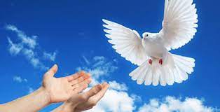 Por qué se celebra el 21 de septiembre el día internacional de la paz? - El  Día Globales