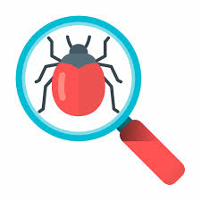 Bug Bug Search Development