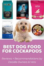 best dog food for apoos reviews