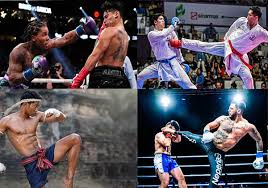 combat sports 101 everything you need