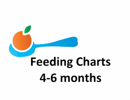 4 6 Month Old Feeding Chart And Menu Moira Jean Cunningham