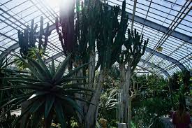 the montreal botanical garden and