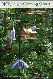 wild bird feeding station backyard