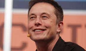 Nick gicinto and social media : Elon Musk Calls The Tesla Whistleblower A Nut Daily Mail Online