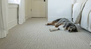 anderson tuftex carpet for pets