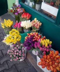 Идеи и съвети за цветята в дома и градината. Cvetya Buketi Aranzhirovki Home Facebook