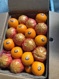 Fresh Navel Orange Sizes 48 56 64 72 80 88 100 Logy