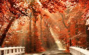 Free download Autumn Nature Desktop ...