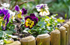 Garden Edging Ideas What S Best For