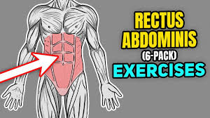 how to strengthen your rectus abdominis