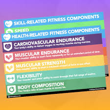 (lifting weights, ect) to tone your muscles. Fitness Component Concept Cards Thephysicaleducator Com