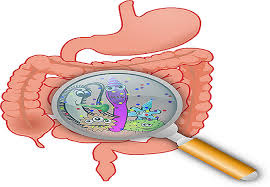 Résultats d'images pour pullulation bactérienne intestinale (SIBO)