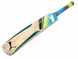 To get a better idea do a research on sg cricketbats and mrf cricket bats before you decide what is the best cricket bat for you. A Beginner S Guide To Buying The Right Cricket Bat