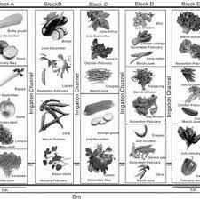 pdf types of vegetable gardens