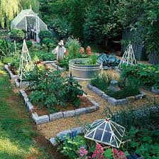 veggie garden layout