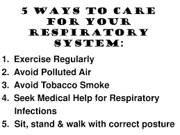 Image result for care of your respiratory system