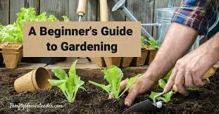 Homestead Garden A Beginner S Guide