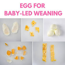 8 month old baby food recipes