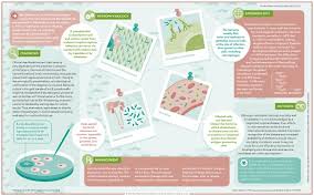 Because it can affect almost any organ, melioidosis can mimic many other diseases; Melioidosis Nature Reviews Disease Primers