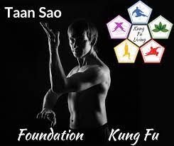 kung fu lessons for beginners at home