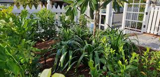 Garden Irrigation Systems Gold Coast