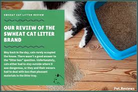 Litter box for multiple cats. Our 2021 Purina Tidy Cats Cat Litter Reviews And Coupons