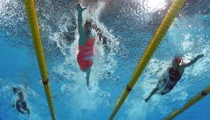 swimmers transfer energy