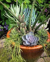 Container Garden Inspirations Elements