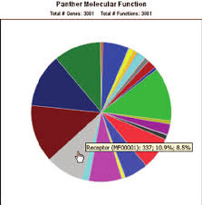 Pie Chart Of Molecular Functions Represented In A List Of