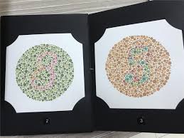Ishihara Color Blindness Chart Sizes 14 24 38 Plates