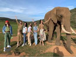 Indalu Game Reserve Elephant Operator