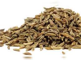 Black cumin seeds have a long history of use as both a culinary and medicinal herb. Health Benefits Of Cumin Seeds