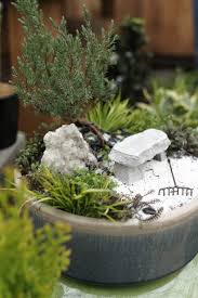 Miniature Gardens Are A Growing Trend