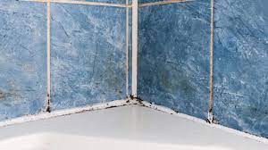 Ways To Prevent Mold In Bathrooms