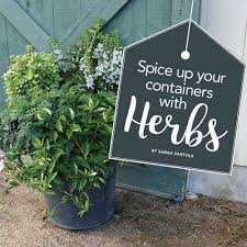 Add Herbs To Your Container Designs