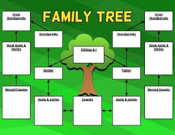 Family Tree Organizer Margarethaydon Com
