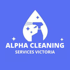 cleaning services house cleaning