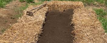manure management temperate climate