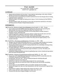    How To Write An Amazing Resume Professional Summary Statement     school social worker resume sample