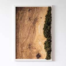 Framed Moss Wall Art Oak Natural Wood Plank