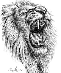 drawing a lion roar peakd