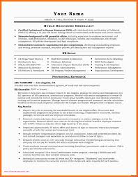 Resume Template For Experienced Software Engineer Software Developer