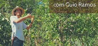 Agendagotsch.com/ ernst götsch é o. Curso De Agrofloresta Sintropica Com Guio Ramos Abre Inscricoes Na Bahia Metro 1