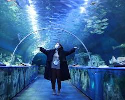 Shinagawa Aquarium的圖片
