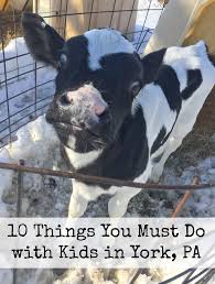 things to do in york pa farms