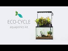 eco cycle aquaponics kit complete