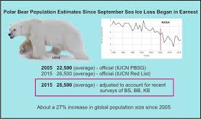 Global Polar Bear Population Larger Than Previous Thought