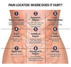 pain locator where does it hurt